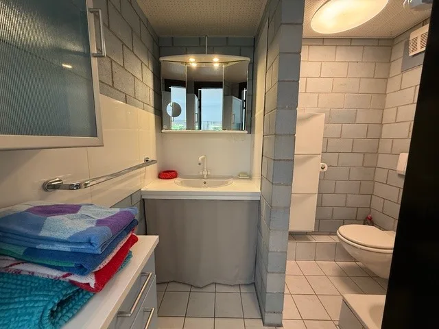 Möblierte Wohnung, 1 Stück – Foto 12 von 12