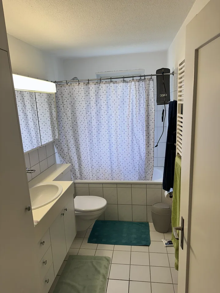 2½ ZI-WOHNUNG IN LUZERN, MÖBLIERT, TEMPORÄR – foto 4 di 7