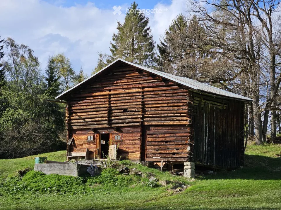 Approved project – authentic Maiensäss in Feldis / Tuals – photo 6 of 9