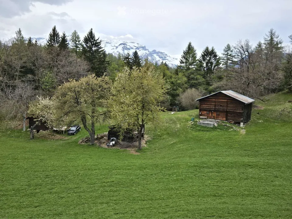 Approved project – authentic Maiensäss in Feldis / Tuals – photo 4 of 9