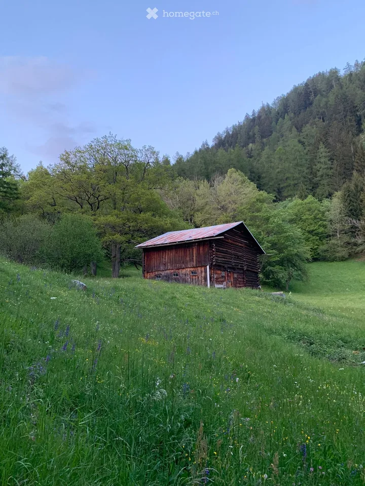 Approved project – authentic Maiensäss in Feldis / Tuals – photo 5 of 9