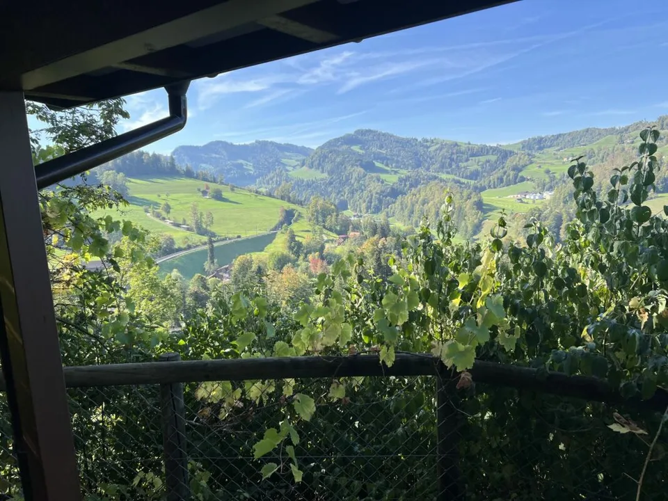 Chalet with a view - living close to nature in Mogelsberg – photo 5 of 27