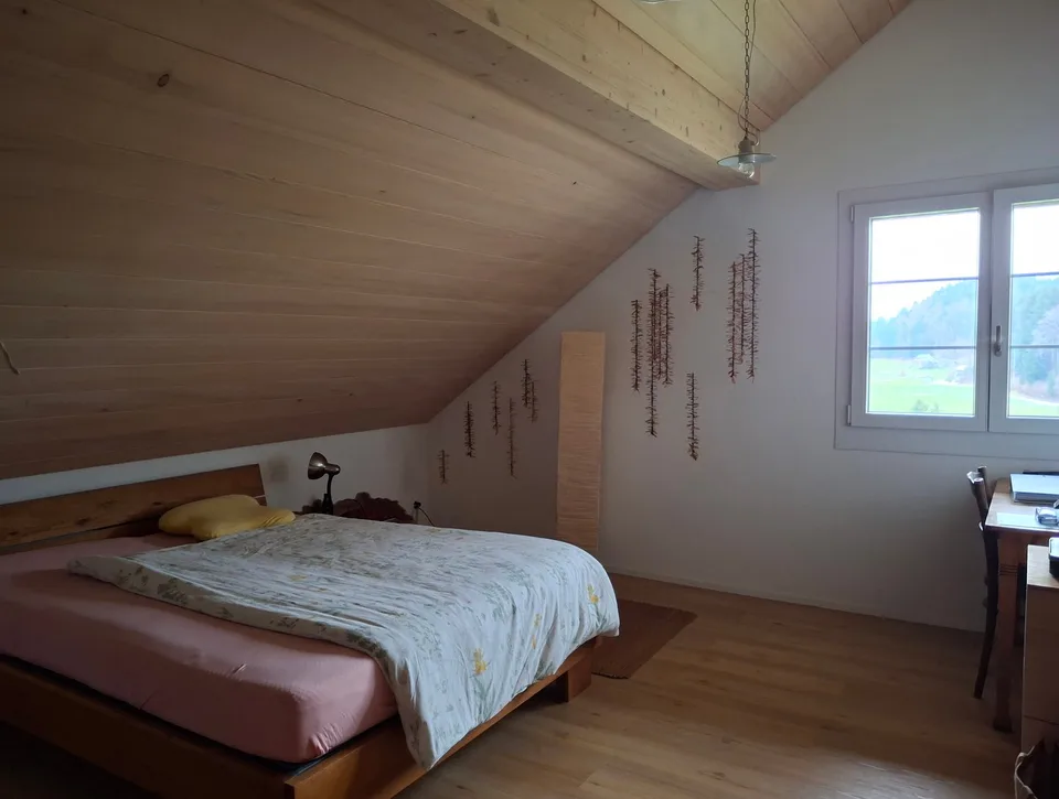 Appartamento mansardato moderno e luminoso di 2,5 locali – foto 4 di 8