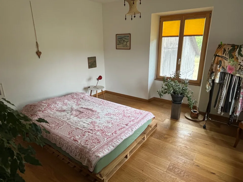 Casa colonica con 2 appartamenti e ristorante (ampliabile con ulteriori appartamenti). – foto 14 di 30