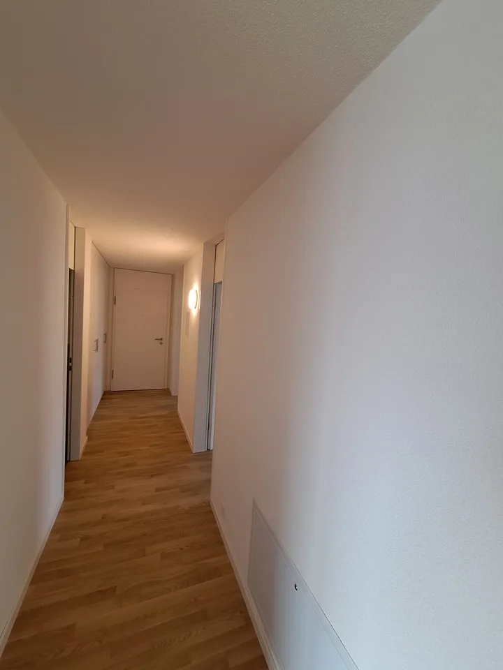 neu renovierte 4.5-Zi-Wohnung – Foto 5 von 8