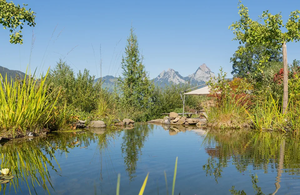 »ESSENZ« – Ein Naturhaus über dem Vierwaldstättersee – Foto 11 von 13