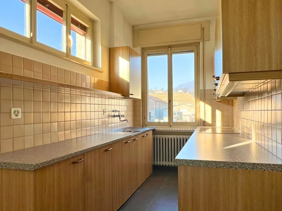 Ampia proprietà residenziale-commerciale con giardino – foto 7 di 13