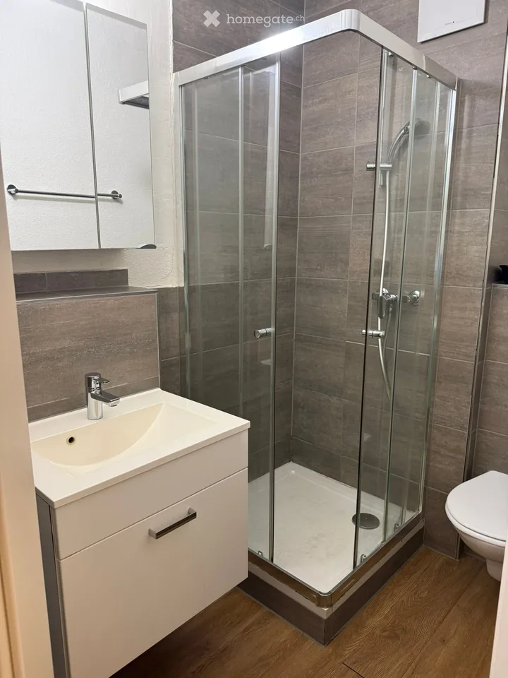 Möbliertes Studio in Basel zu vermieten – Foto 2 von 5
