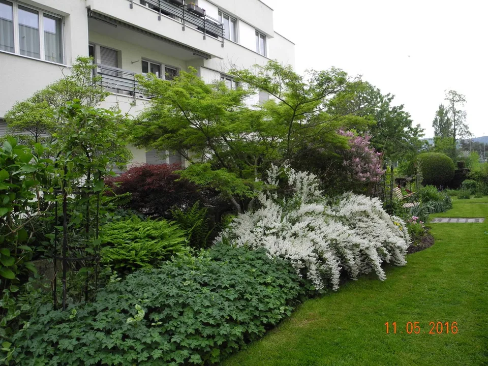 2 Zimmer Wohnung in Zürich – Foto 8 von 9