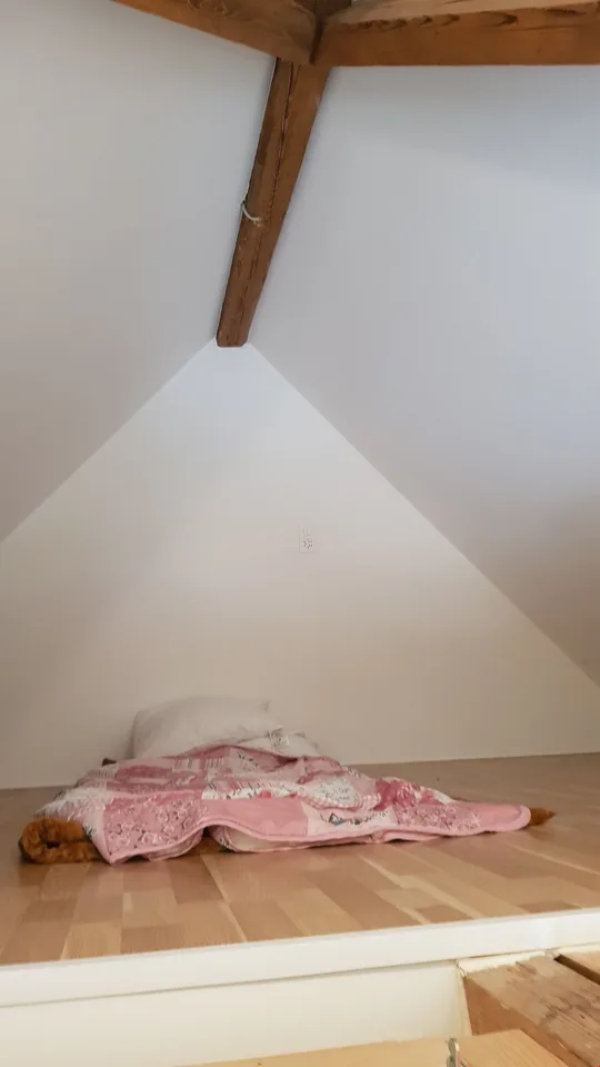 Beautiful 2.5-room attic apartment in a small 3-family house for rent – photo 8 of 13