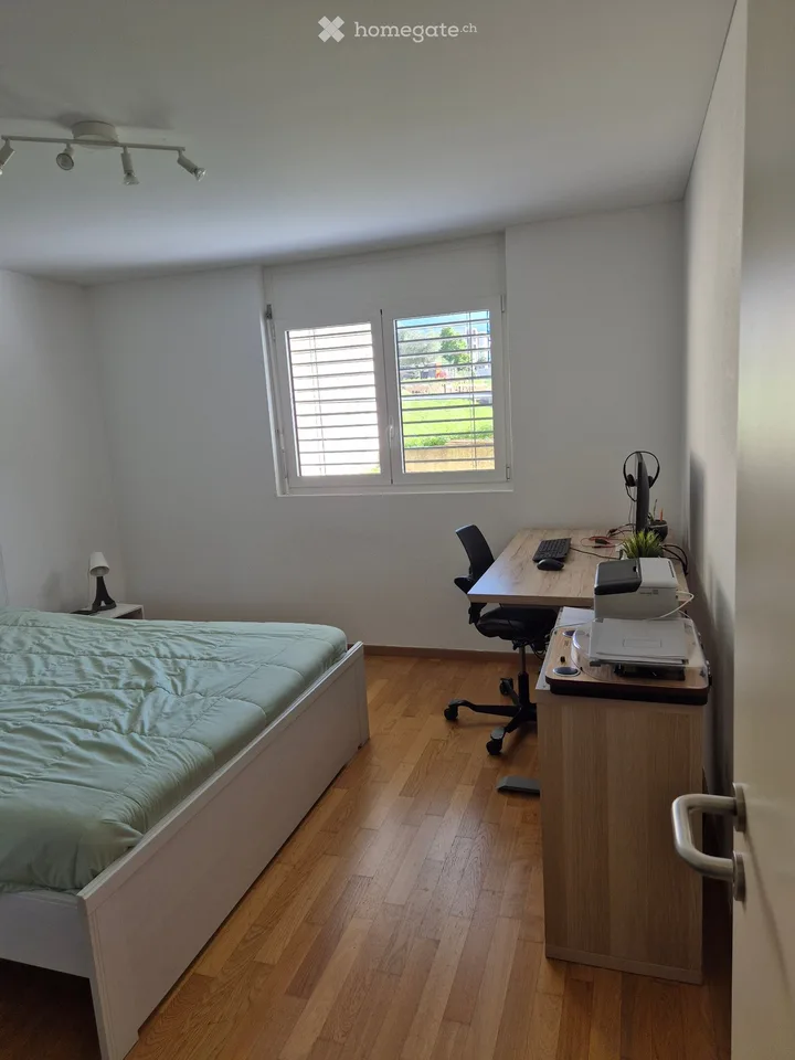 Subentante in Claro (Bellinzona) gesucht – Foto 3 von 5
