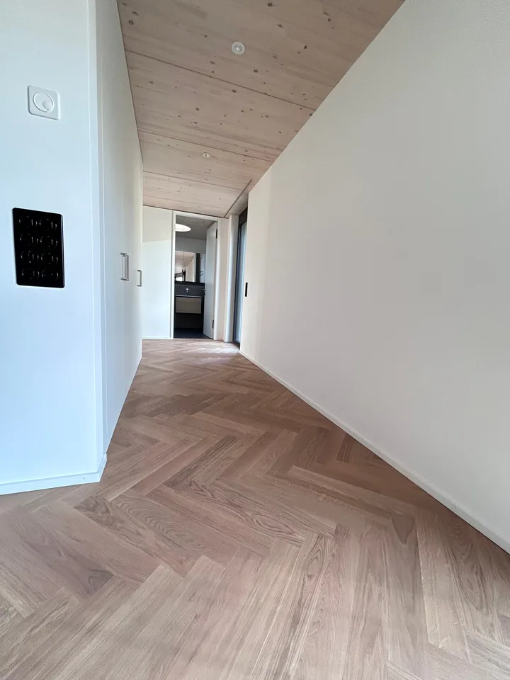 ERSTVERMIETUNG nach Aufstockung: Modernes Wohnen über den Dächern Zürichs – Foto 9 von 13