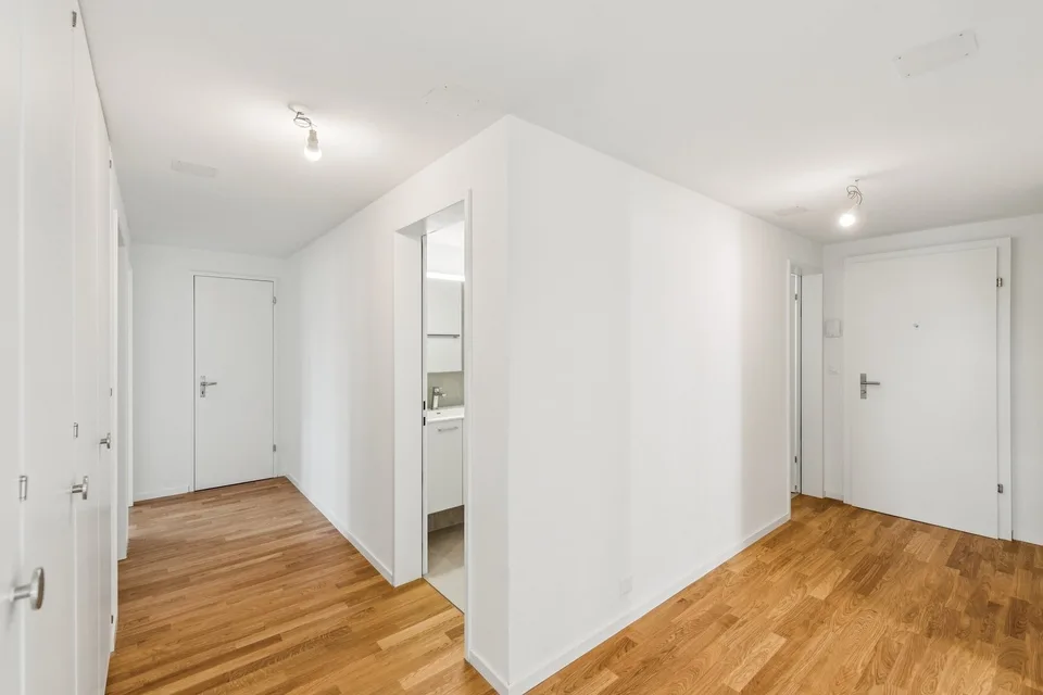 Appartamento di 4,5 locali appena ristrutturato in una posizione privilegiata a Pratteln – foto 4 di 10