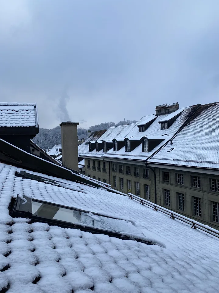 APPARTEMENT 1 PIÈCE À FRIBOURG (FR), MEUBLÉ – foto 9 di 10