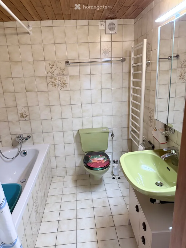 Schöne 2,5-Zimmer-Wohnung – Foto 3 von 5