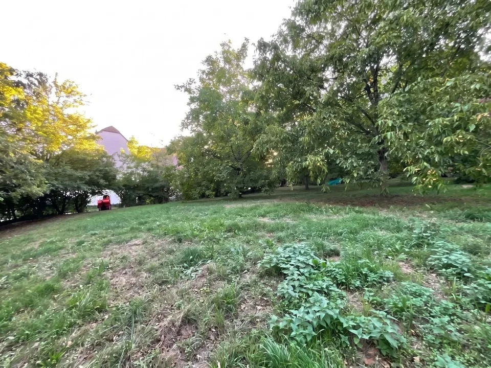Wohnung zum Verkauf mit 2126m2 privatem Grundstück – Foto 5 von 9