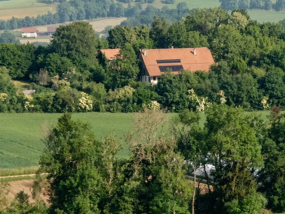 Wohnung zum Verkauf mit 2126m2 privatem Grundstück – Foto 7 von 9