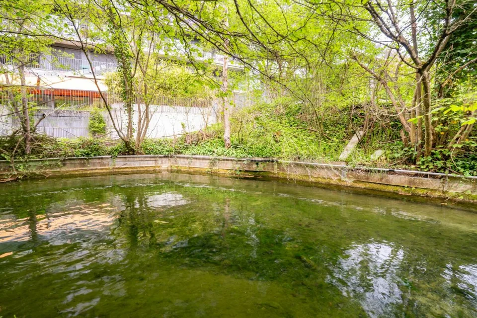 Appartamento di 2,5 locali ben curato con giardino spazioso – foto 22 di 22