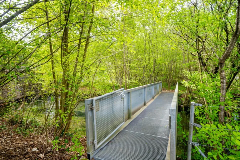 Appartamento di 2,5 locali ben curato con giardino spazioso – foto 21 di 22