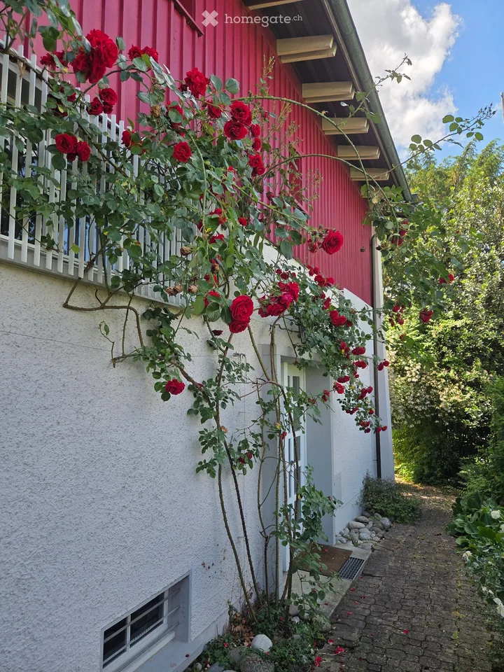 Charming single-family house in a quiet location with a beautiful rose garden – photo 4 of 18