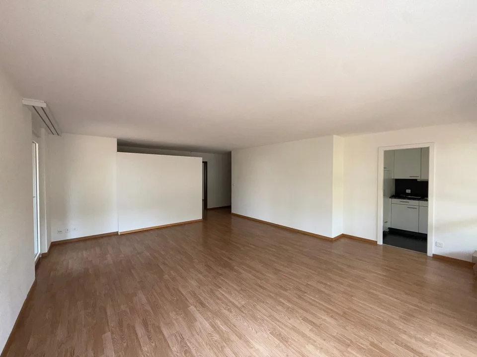 Appartamento luminoso 4.5 locali con terrazze di giardino accoglienti – foto 3 di 15