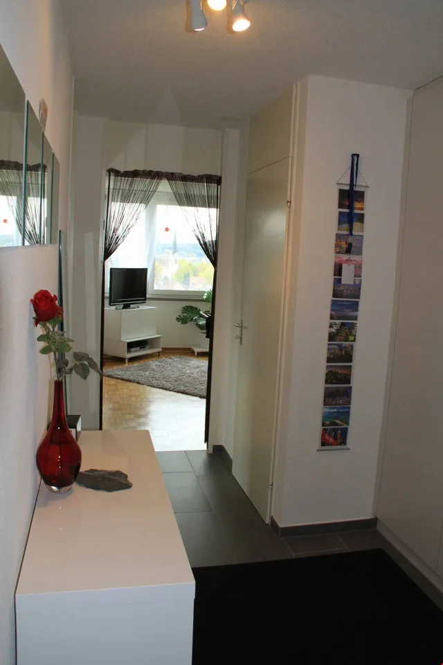 Appartamento luminoso e spazioso 1 1/2 locali (47 m2), balcone soleggiato con vista (n.22) – foto 3 di 9