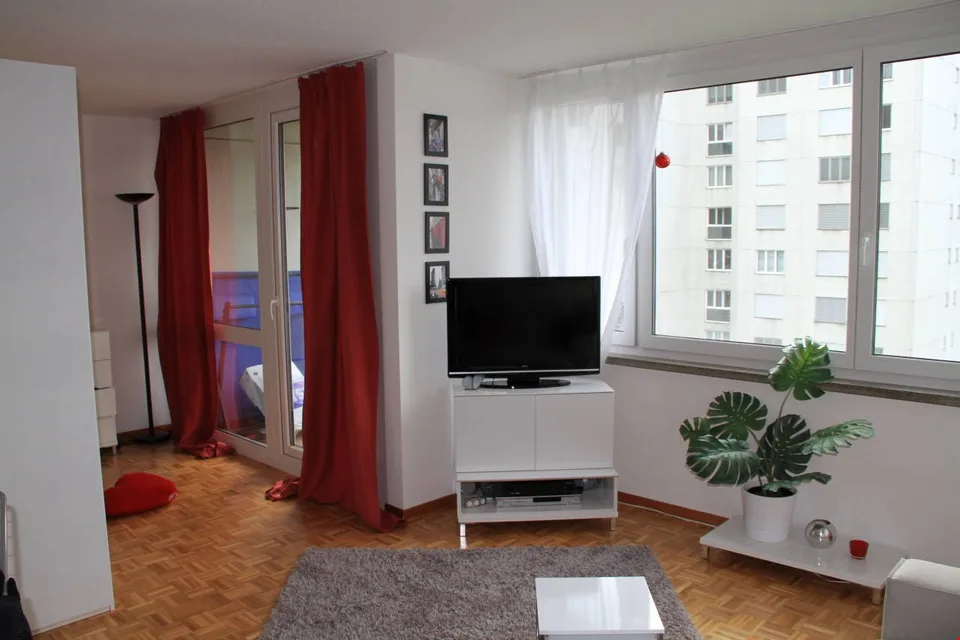Appartamento luminoso e spazioso 1 1/2 locali (47 m2), balcone soleggiato con vista (n.22) – foto 2 di 9