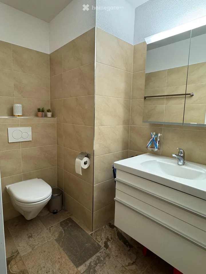 Vivre avec une vue au cœur de Lenzburg - appartement spacieux de 4,5 pièces dans le parc de villas – photo 7 sur 8