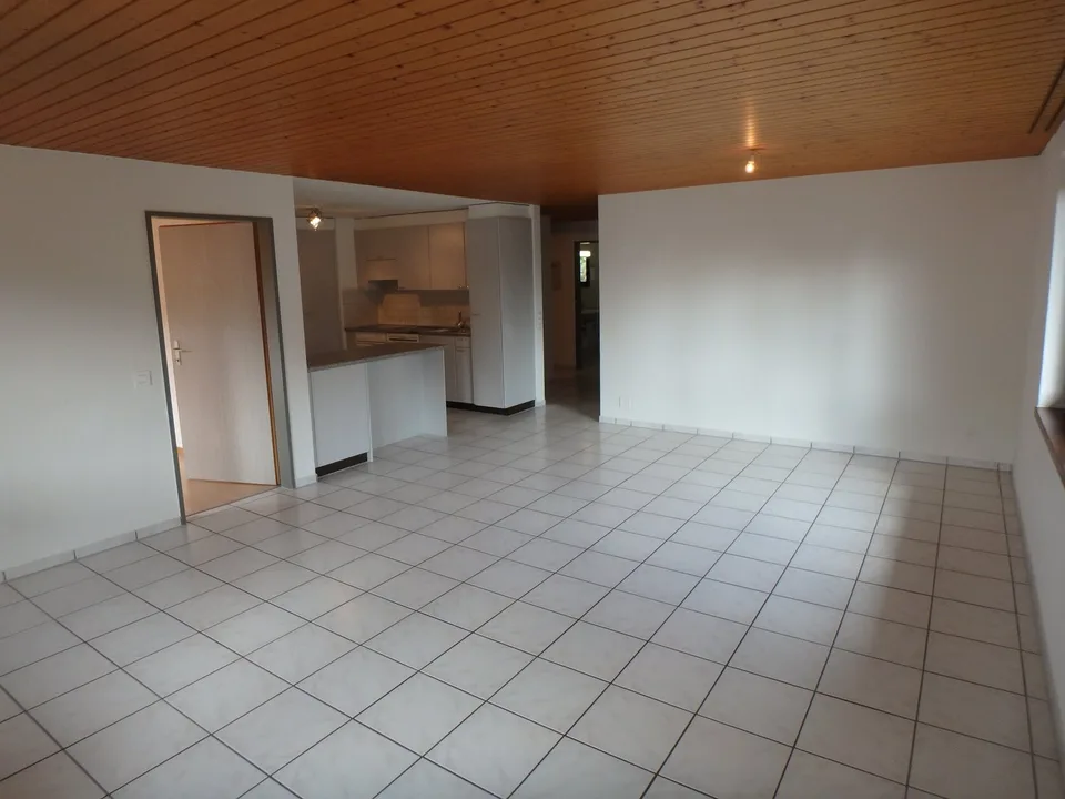Entretenu, avec cuisine ouverte – photo 4 sur 11