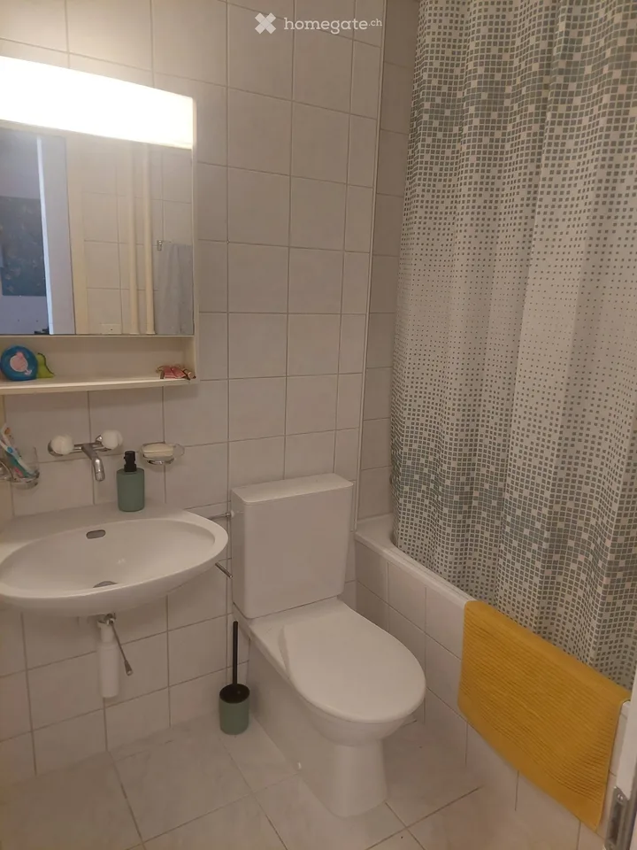 Charmante 3- Zimmerwohnung im Hochparterre – Foto 4 von 4