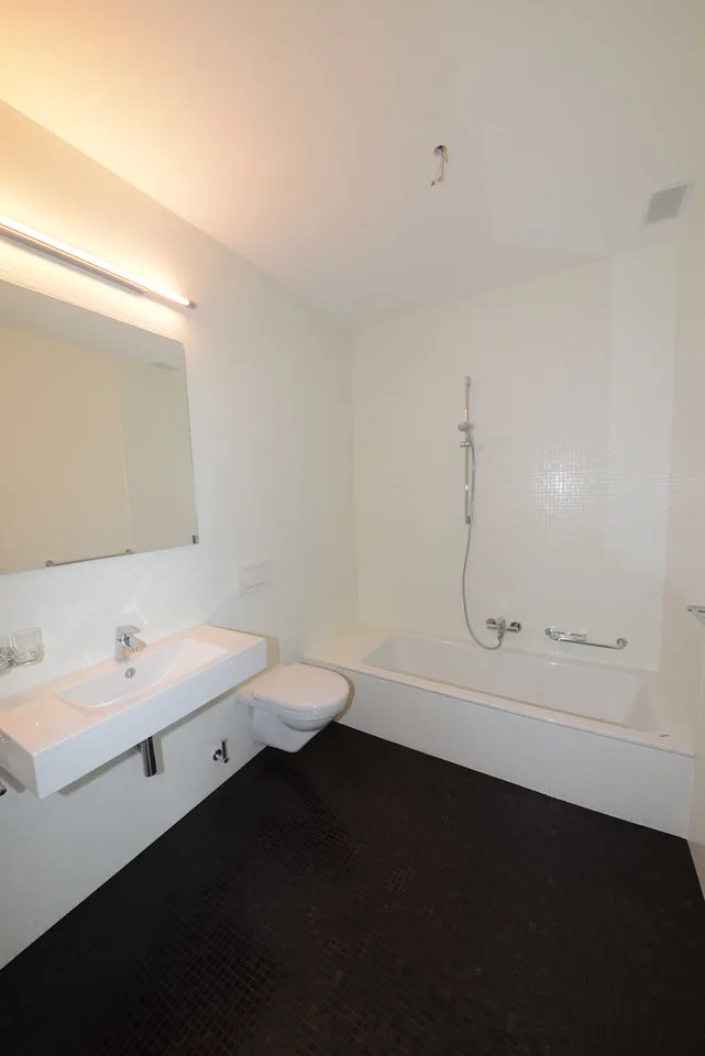 Exklusive 4.5-Zi-Wohnung an ruhiger Lage im schönen Gellert-Quartier – Foto 5 von 11