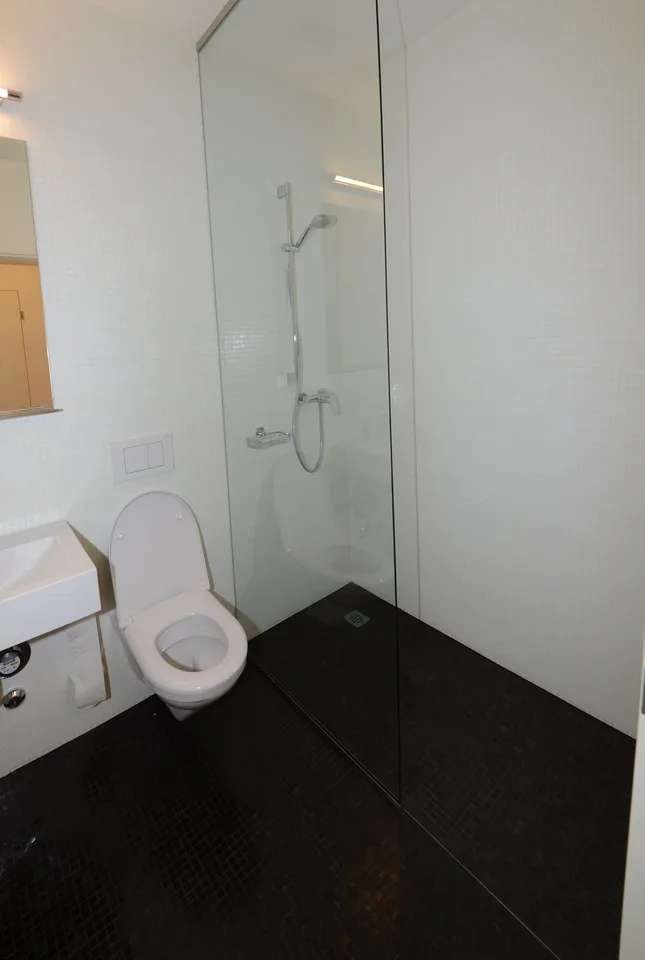 Exklusive 4.5-Zi-Wohnung an ruhiger Lage im schönen Gellert-Quartier – Foto 6 von 11