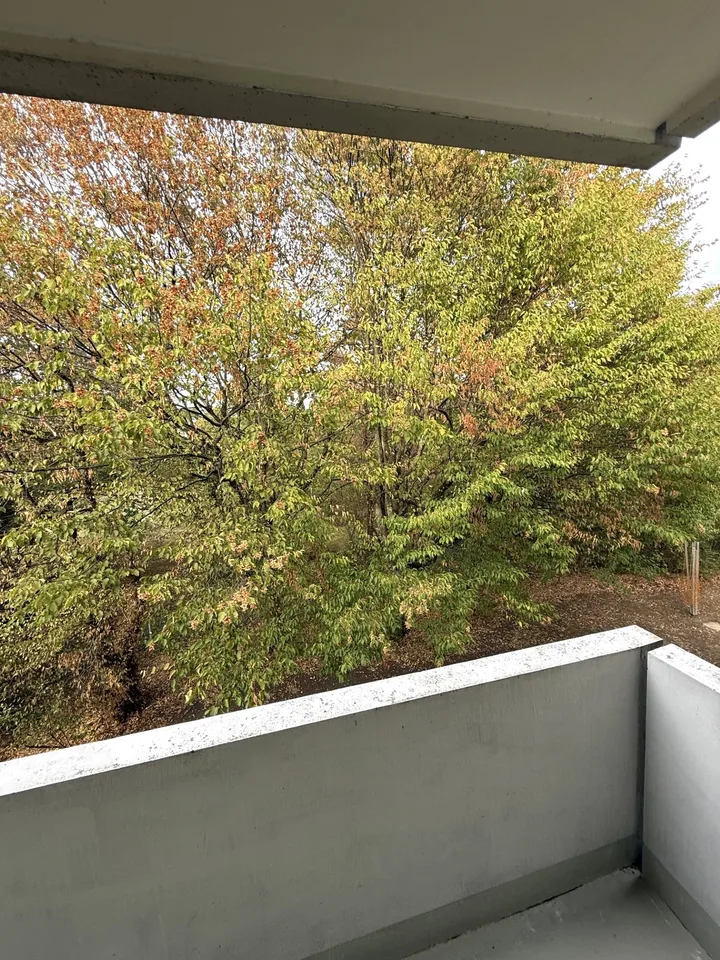 Appartamento attraente di 3 locali in una posizione preferita a Reinach – foto 9 di 9