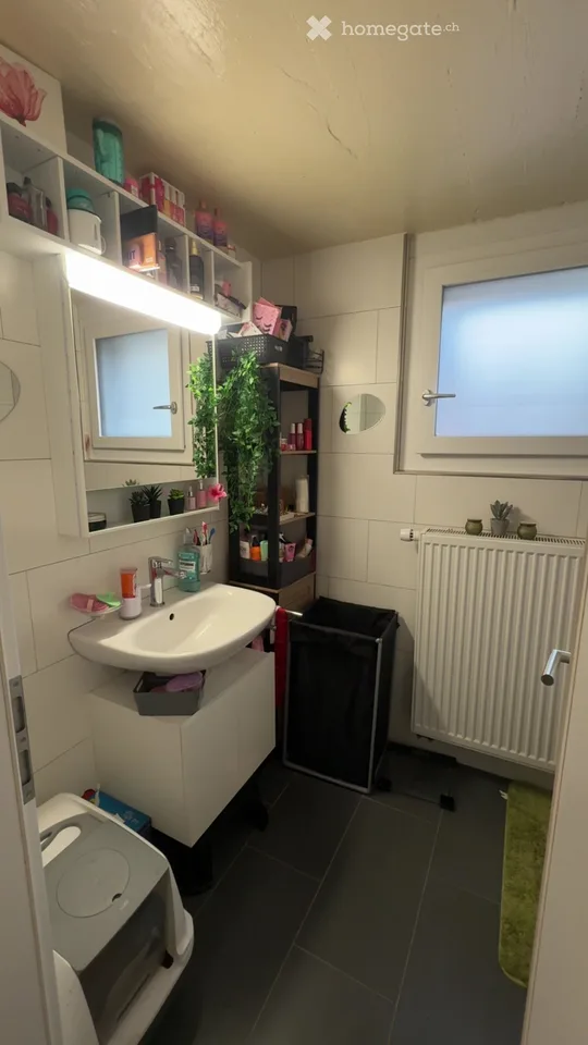 Wohnung zur Miete – Foto 4 von 5