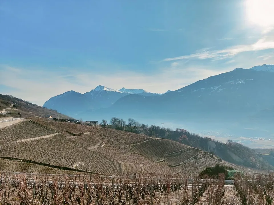Maison neuve de charme avec vue exceptionnelle – photo 2 sur 5