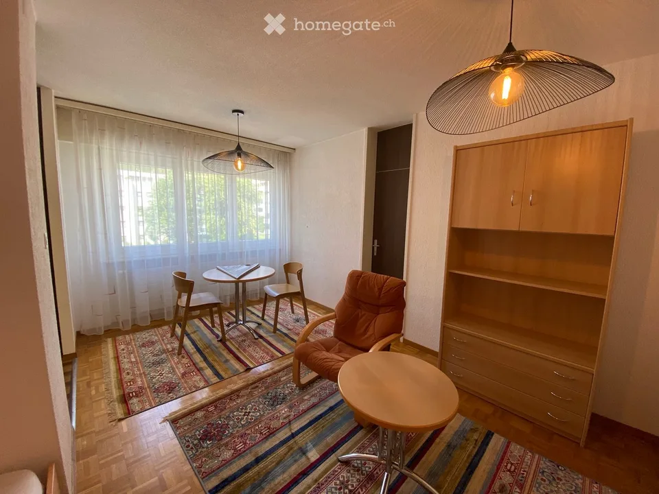 Großes möbliertes Studio zur sofortigen Miete in Sierre – Foto 3 von 5