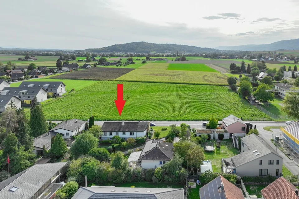 Spazio, Sole, Libertà: casa versatile con studio e grande giardino – foto 2 di 13