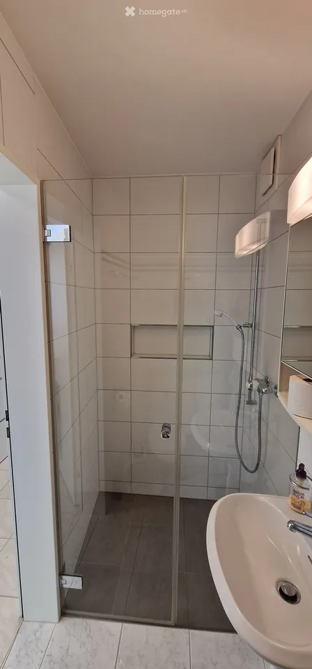 Appartamento giardino di 4,5 locali con camino e due posti auto sotterranei a Effretikon – foto 12 di 25