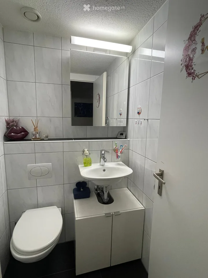 Appartamento in mansarda di 5,5 locali con terrazza sul tetto privata di 145 m² – foto 9 di 20