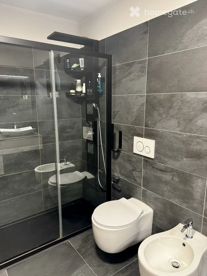 Submieter für 2.5 in Gnosca (Bellinzona) – Foto 2 von 5