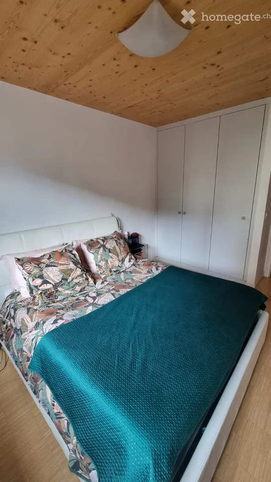 Rheinseite/Eaux-Vives Duplex 5 Zimmer mit großer Terrasse – Foto 5 von 5