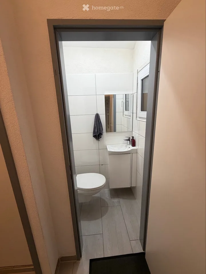 Einfamilienhaus in Wangen bei Olten – Foto 4 von 5