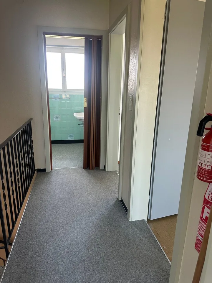 Casa Doppia Familiare a Hofstetten-Flüh - Oggetto di Ristrutturazione in una Buona Posizione – foto 9 di 13