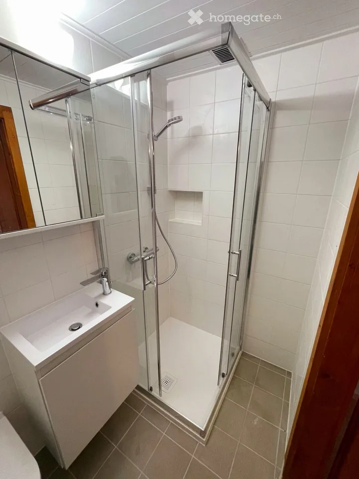Zu vermieten Studio 2 Zimmer in einem Chalet in Les Paccots – Foto 4 von 5