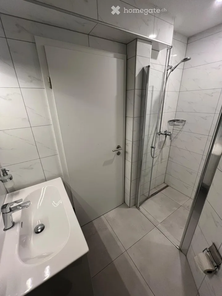 ZU VERMIETEN: 3-ZIMMER-WOHNUNG GANZ RENOVIERET – Foto 5 von 11