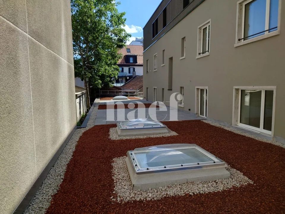 Zu vermieten wunderschönes 5-Zimmer-Apartment mit Terrasse – Foto 4 von 4