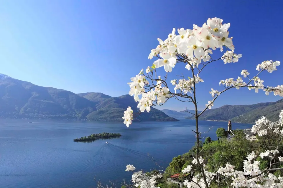 Renditeobjekt! Abitazione primaria: 2.5 locali con vista lago – ideale a reddito – photo 15 sur 15