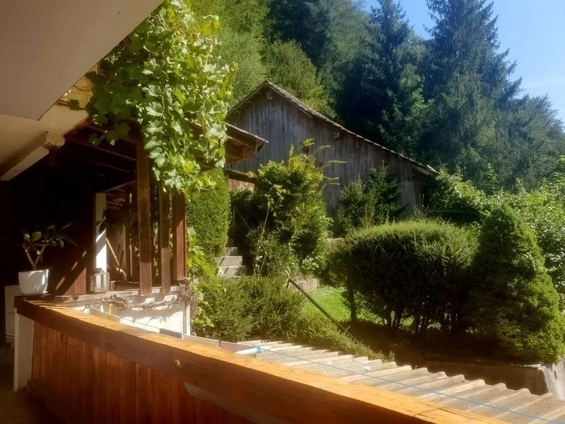 3 ZI-WOHNUNG IN NIEDERSCHERLI (BE), MÖBLIERT, TEMPORÄR – foto 9 di 10