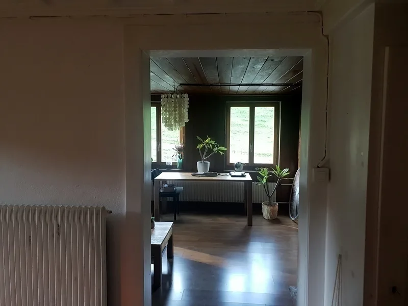 3 ZI-WOHNUNG IN NIEDERSCHERLI (BE), MÖBLIERT, TEMPORÄR – foto 3 di 10