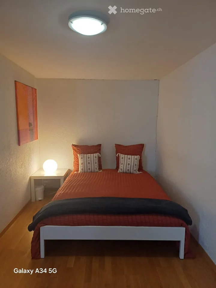 Studio für langfristige Vermietung in der Altstadt von Genf – Foto 3 von 5